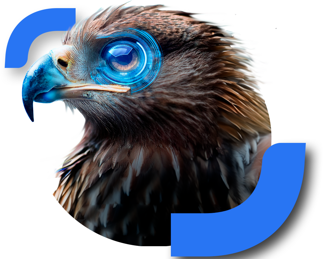ojo